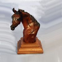 Arabian Foal