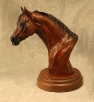 Quarter Horse Stallion