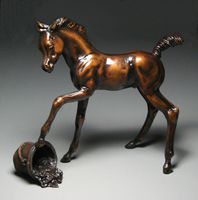 Playful Foal - Oops!