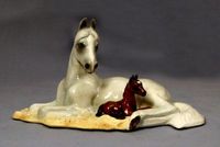 Contessa And Foal