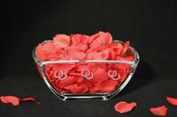 Crystal Wings Small Bowl