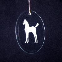 Glass Oval Ornament
