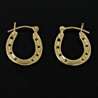 Horseshoe Earrings