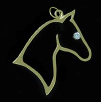 Diamond Eye Silhouette Necklace