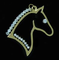 Silhouette Diamond Mane