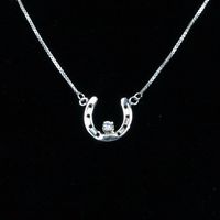 Lucky Horseshoe w/CZ Center Necklace