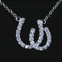 Double Horseshoe CZ Necklace