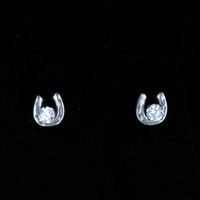Horseshoe Earrings & 5mm CZ