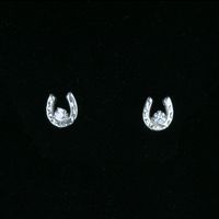 Horseshoe Post Earrings & 4mm CZ