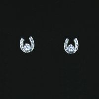 Horseshoe Post Earrings & 5mm CZ