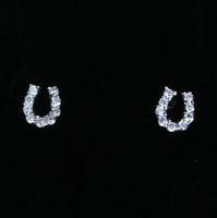 Small Horseshoe Stud Earrings with Cz