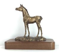 "New Dawn" Arabian Foal Trophy